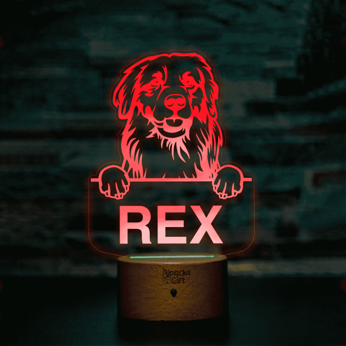 Lampă 3D - Retriever Golden [14]