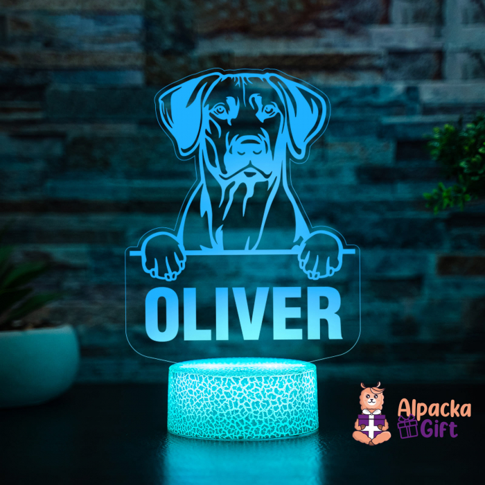 Lampă 3D - Retriever (Nova Scotia Duck Tolling) [5]