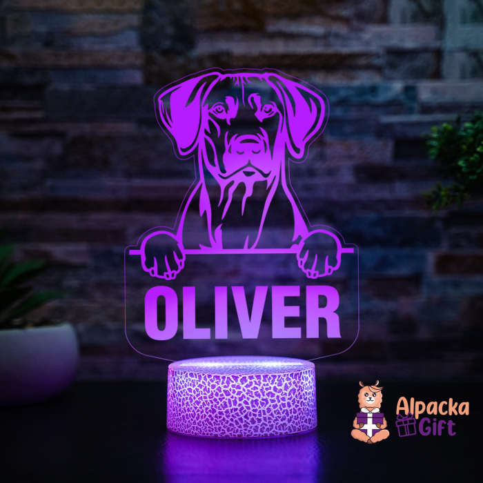 Lampă 3D - Retriever (Nova Scotia Duck Tolling) [4]
