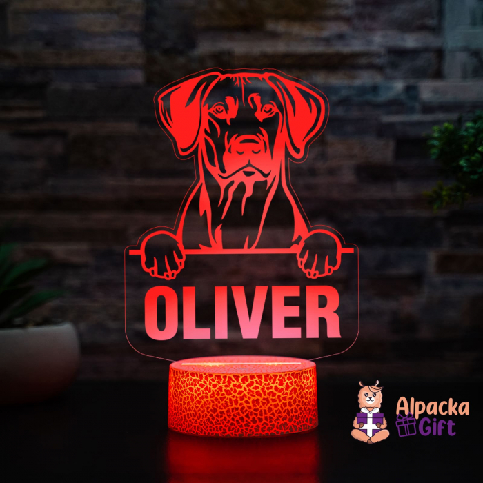 Lampă 3D - Retriever (Nova Scotia Duck Tolling) [2]