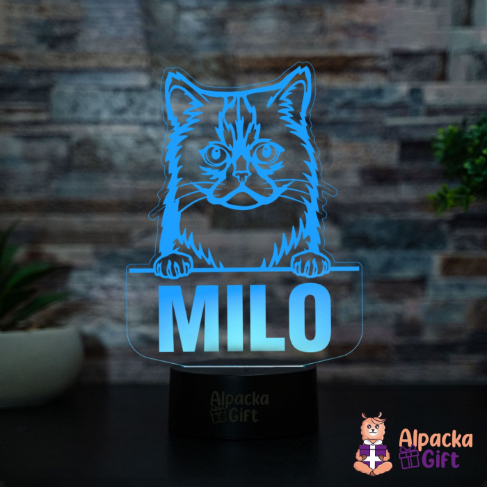 Lampă 3D Semi-longhair Asiatic [3]