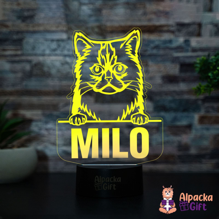 Lampă 3D Semi-longhair Asiatic [4]