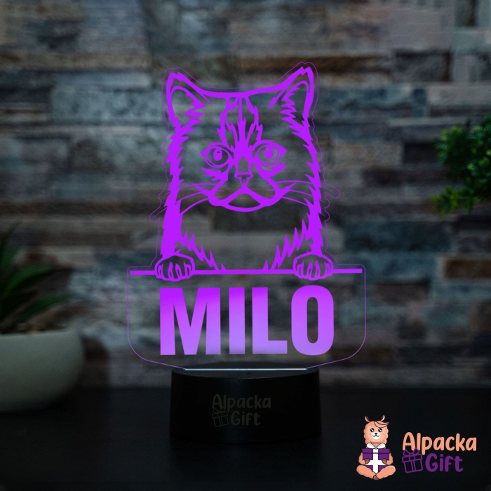 Lampă 3D Semi-longhair Asiatic [2]