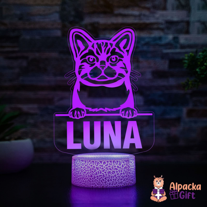 Lampă 3D Wirehair American [2]
