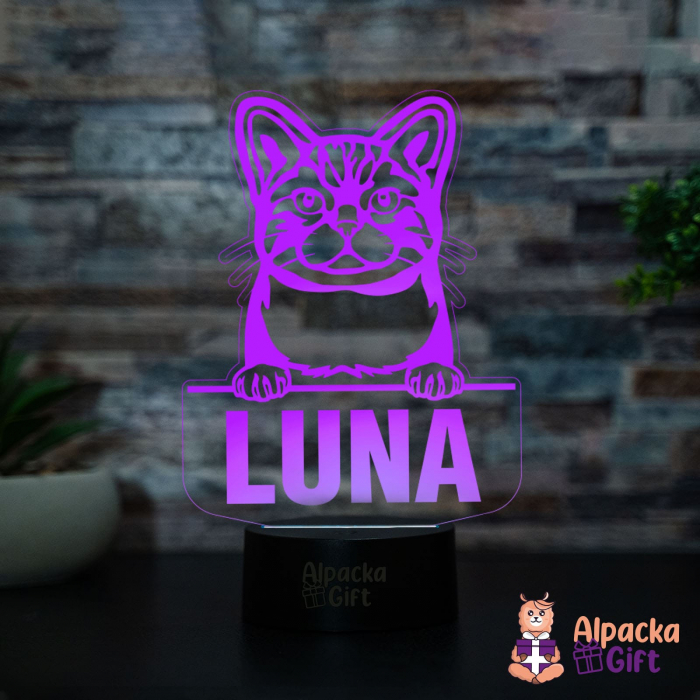 Lampă 3D Wirehair American [4]