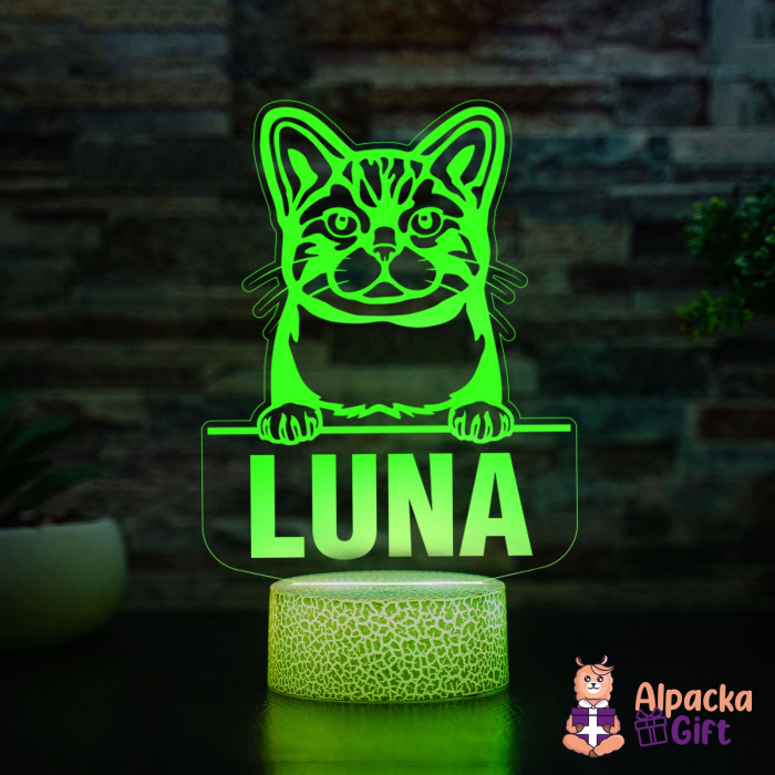 Lampă 3D Wirehair American [3]