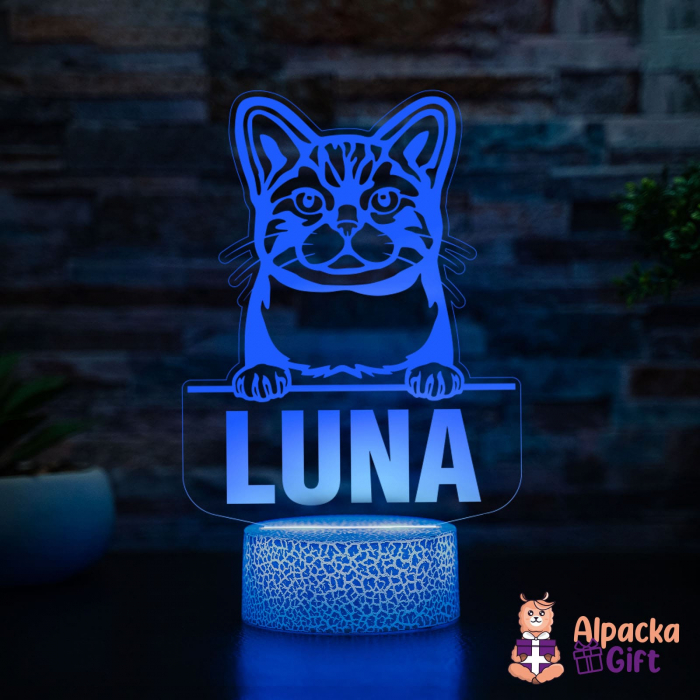 Lampă 3D Wirehair American [4]