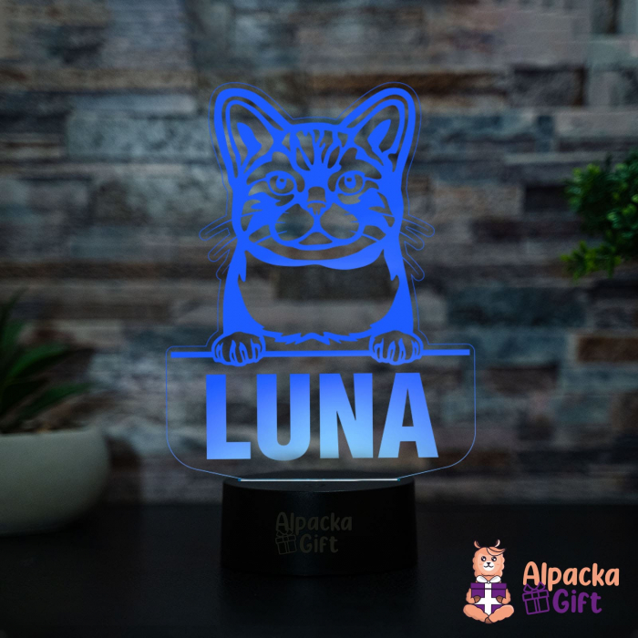 Lampă 3D Wirehair American [3]