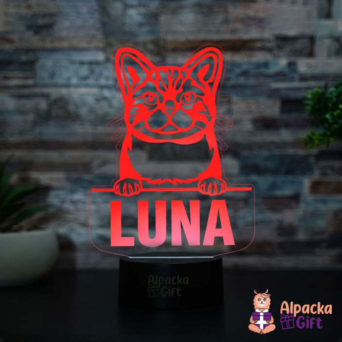 Lampă 3D Wirehair American [2]