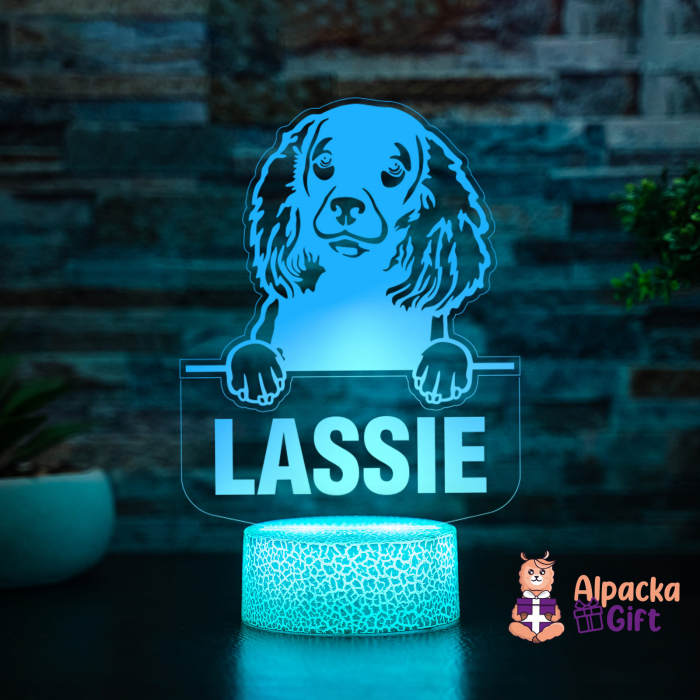 Lampă 3D - Spaniel (American Water) [5]