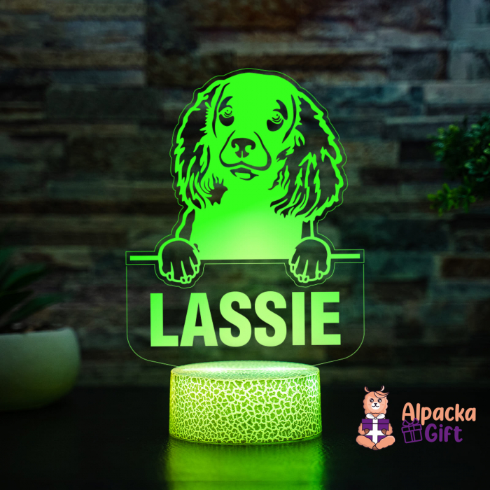 Lampă 3D - Spaniel (American Water) [4]