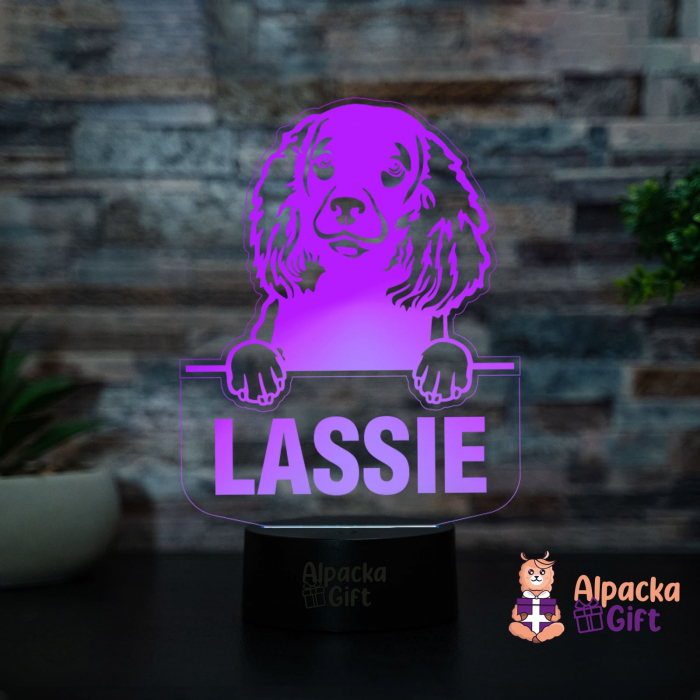 Lampă 3D - Spaniel (American Water) [3]