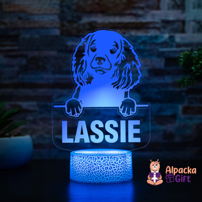 Lampă 3D - Spaniel (American Water) [2]