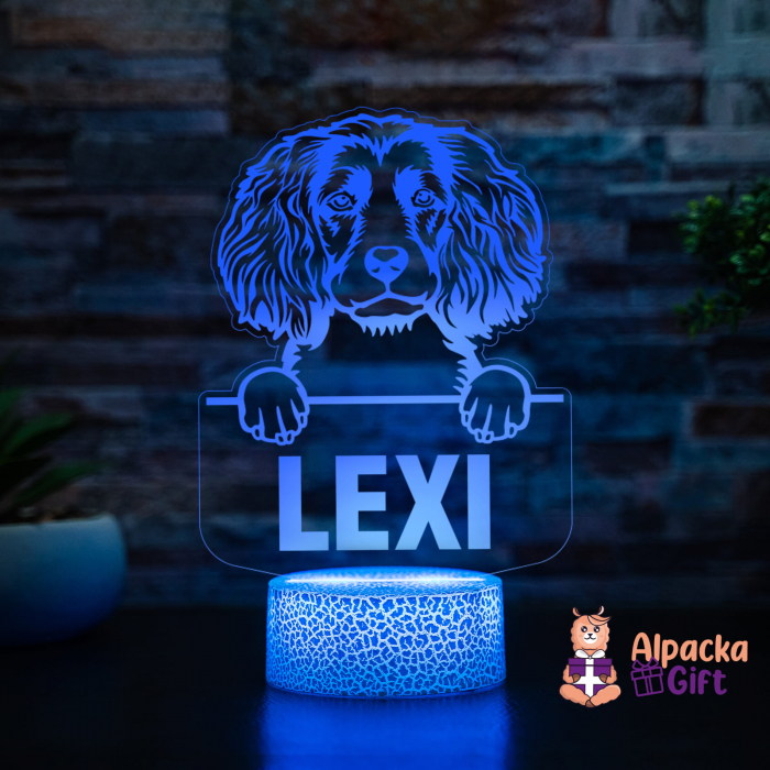 Lampă 3D - Spaniels (Boykin) [3]