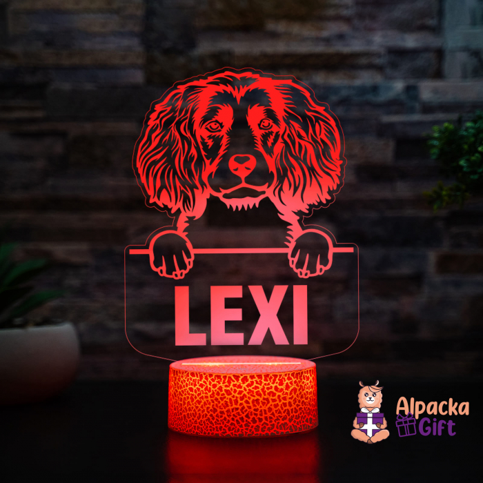 Lampă 3D - Spaniels (Boykin) [2]