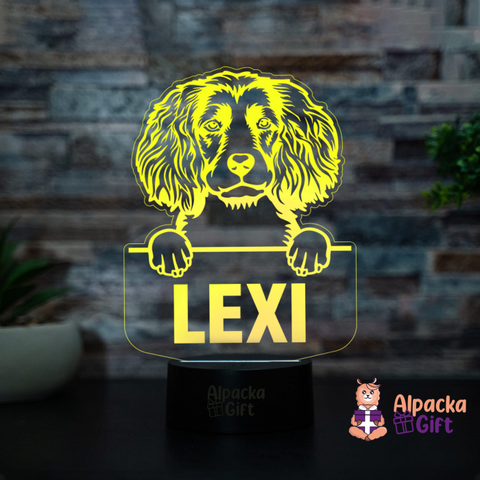 Lampă 3D - Spaniels (Boykin) [4]