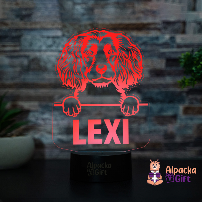 Lampă 3D - Spaniels (Boykin) [3]