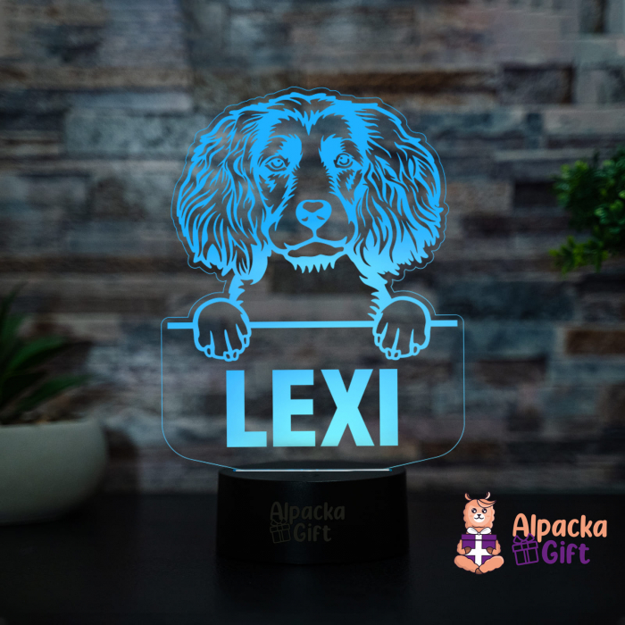 Lampă 3D - Spaniels (Boykin) [2]