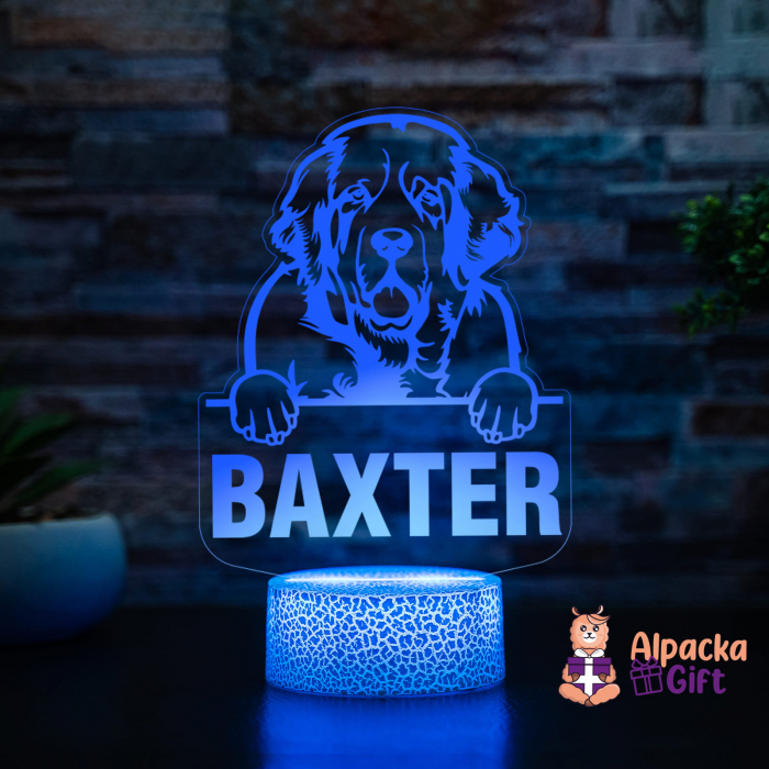 Lampă 3D Spaniels (Clumber) [2]