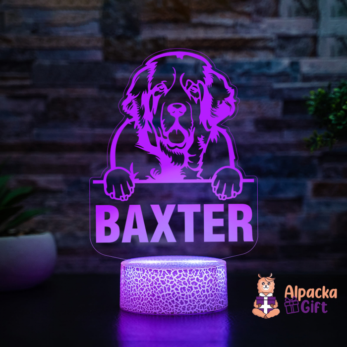 Lampă 3D Spaniels (Clumber) [3]