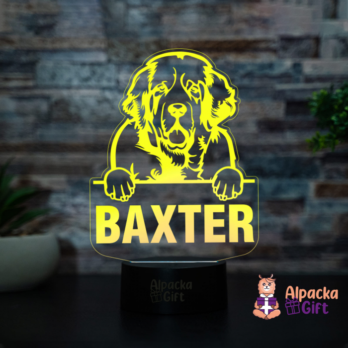 Lampă 3D Spaniels (Clumber) [3]