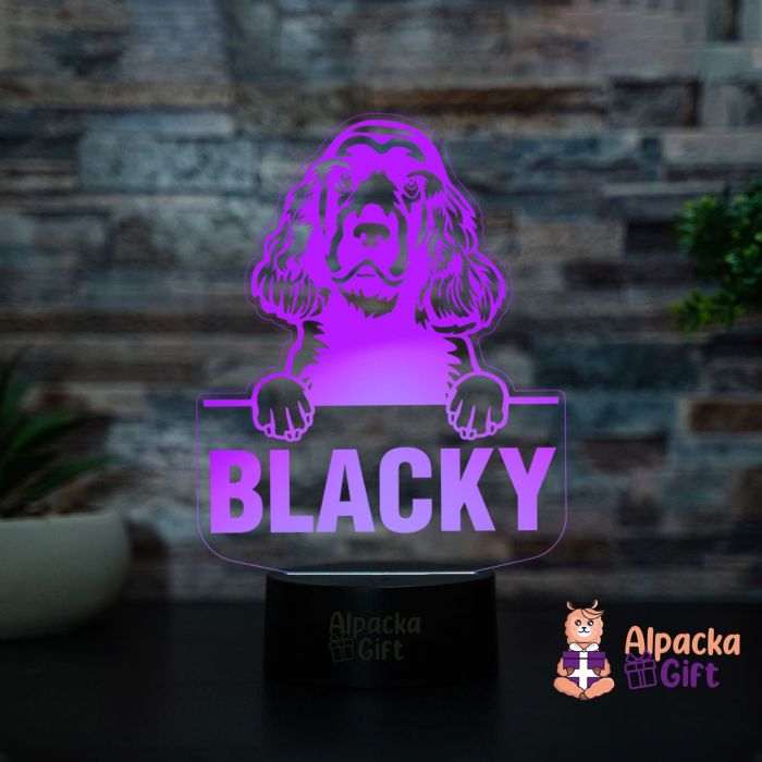 Lampă 3D - Spaniels (Sussex) [4]