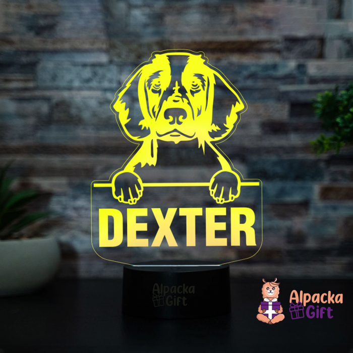 Lampă 3D - Spaniels (Welsh Springer) [3]