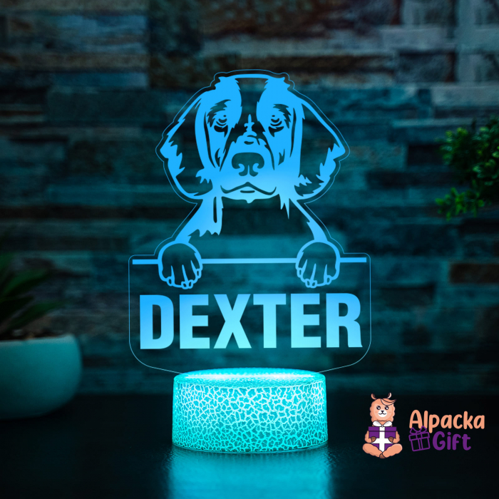 Lampă 3D - Spaniels (Welsh Springer) [5]