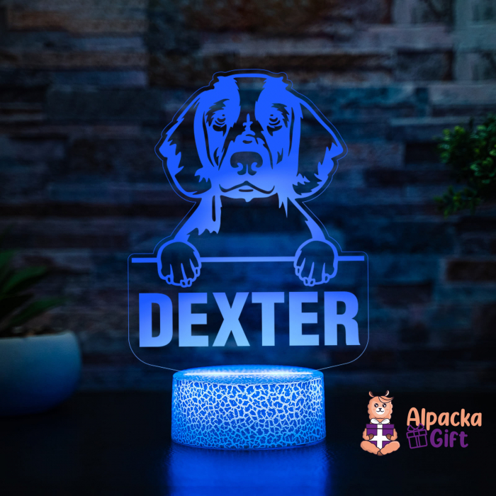 Lampă 3D - Spaniels (Welsh Springer) [2]