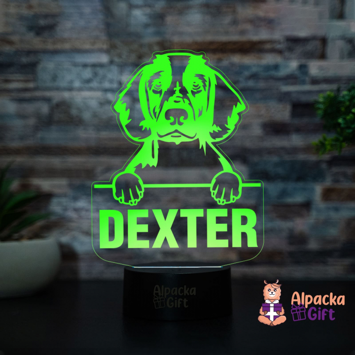 Lampă 3D - Spaniels (Welsh Springer) [4]