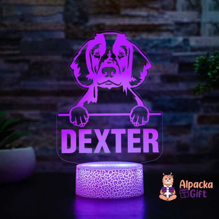 Lampă 3D - Spaniels (Welsh Springer) [3]