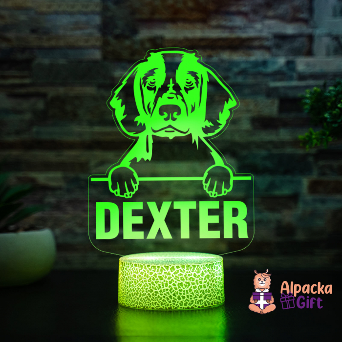 Lampă 3D - Spaniels (Welsh Springer) [4]