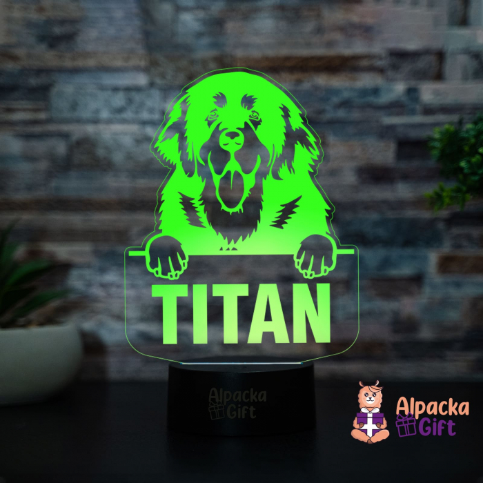 Lampă 3D Tibetan Mastiffs [4]