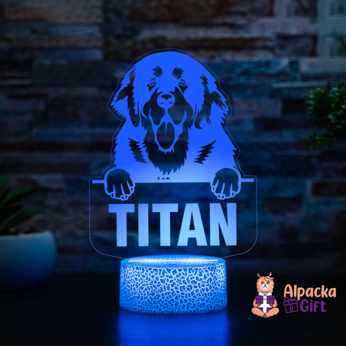 Lampă 3D Tibetan Mastiffs [3]