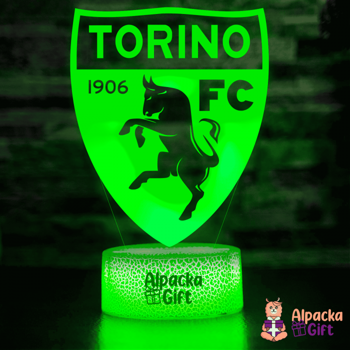 Lampa 3D - Torino [2]