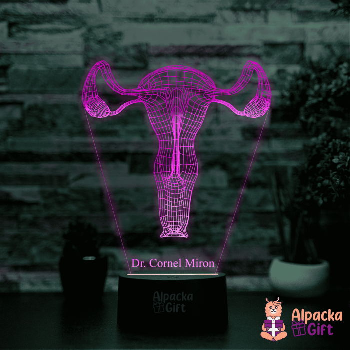 Lampă 3D - Sistem Reproducator Feminin [3]