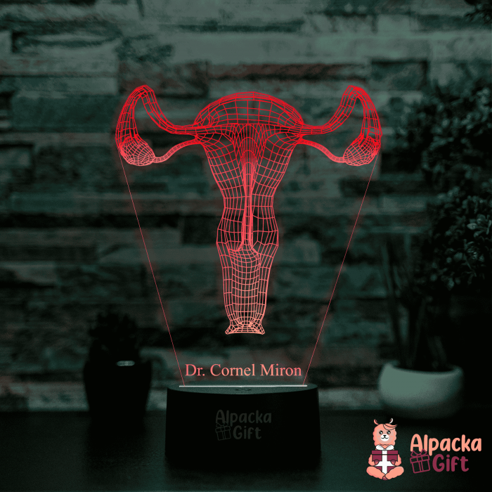 Lampă 3D - Sistem Reproducator Feminin [4]