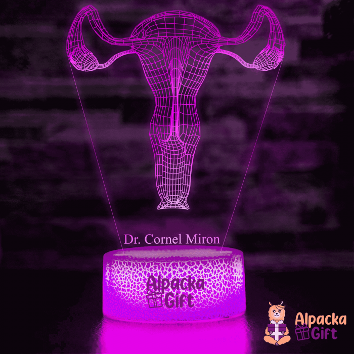 Lampă 3D - Sistem Reproducator Feminin [4]