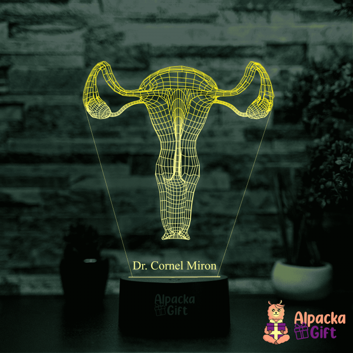 Lampă 3D - Sistem Reproducator Feminin [2]