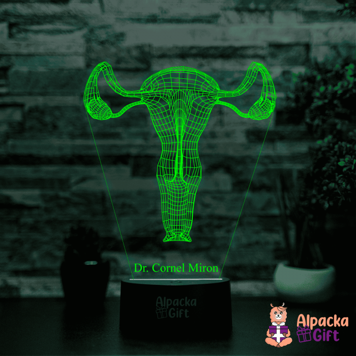 Lampă 3D - Sistem Reproducator Feminin [5]