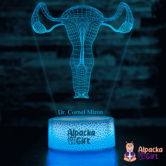 Lampă 3D - Sistem Reproducator Feminin [2]