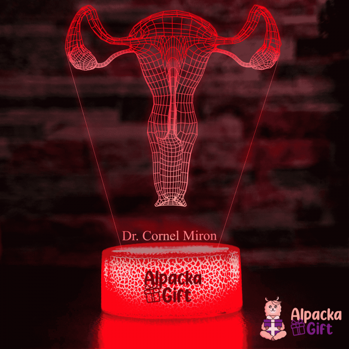 Lampă 3D - Sistem Reproducator Feminin [1]