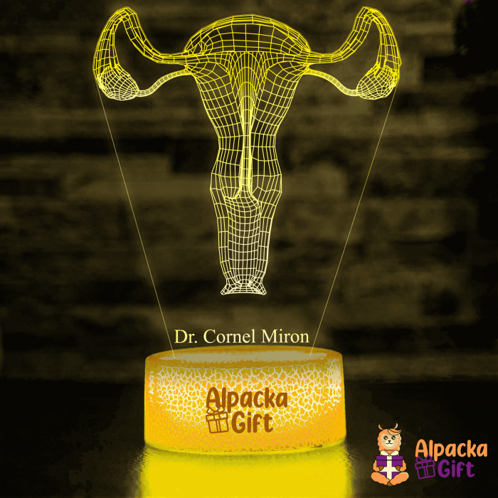 Lampă 3D - Sistem Reproducator Feminin [3]