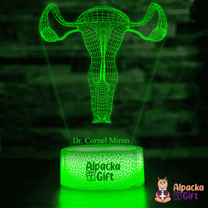 Lampă 3D - Sistem Reproducator Feminin [5]