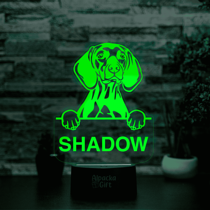 Lampă 3D Vizsla [5]