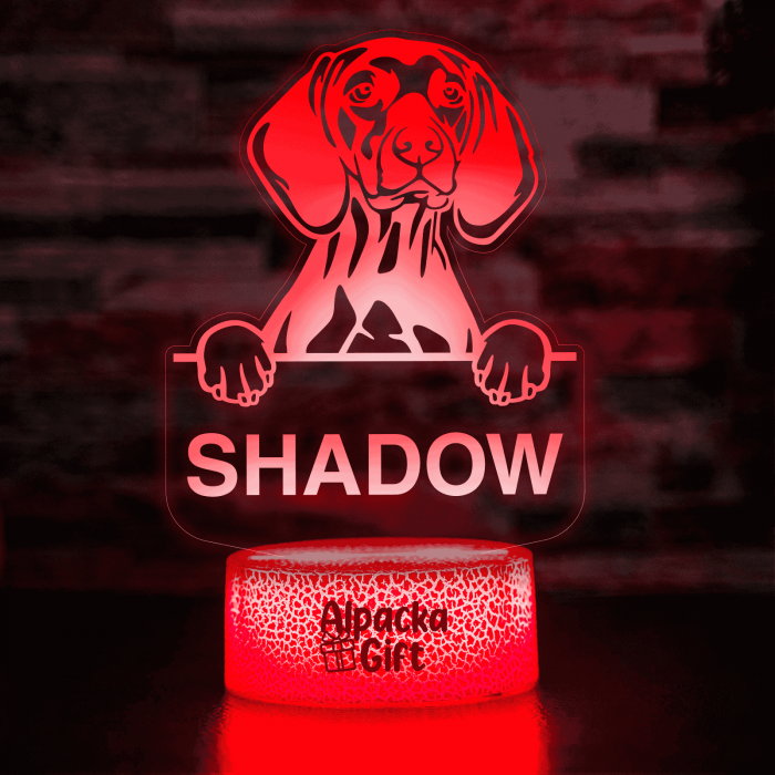 Lampă 3D Vizsla [4]