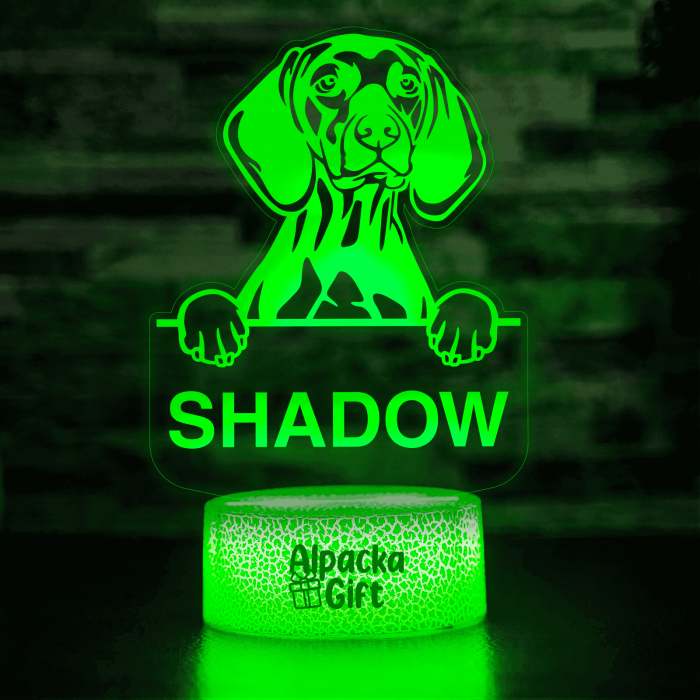 Lampă 3D Vizsla [5]
