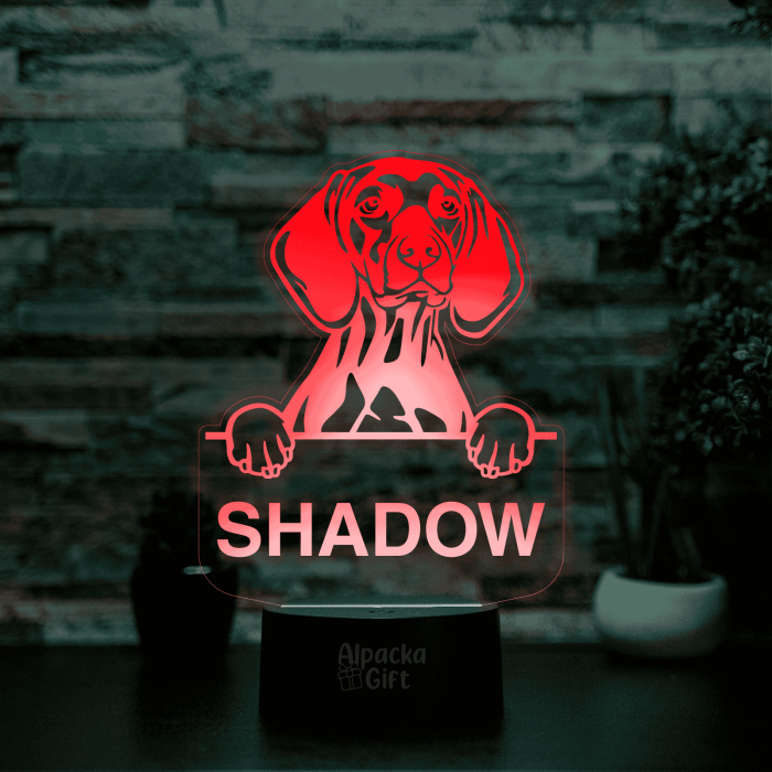 Lampă 3D Vizsla [4]