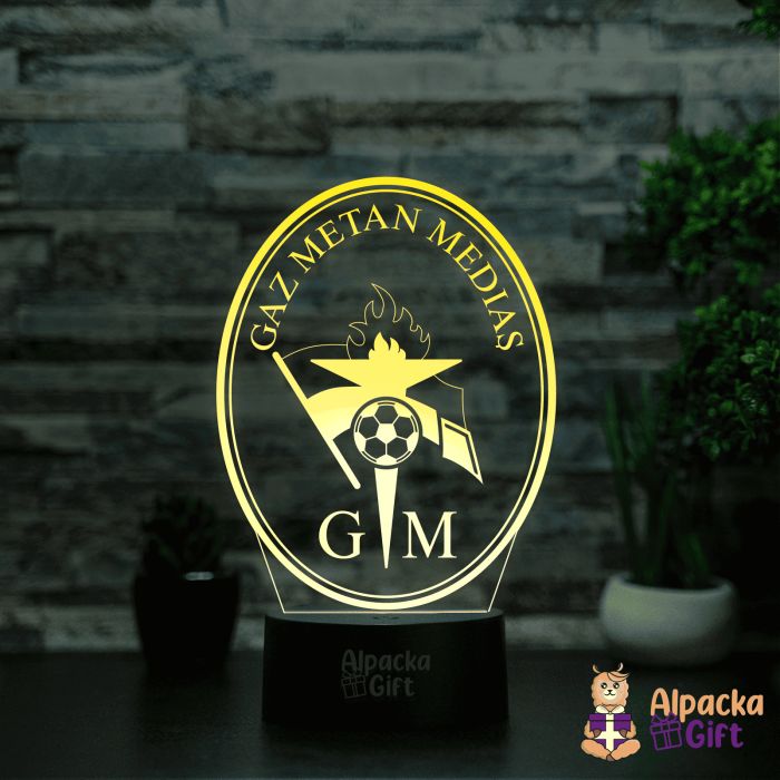 Lampă 3D - Gaz Metan Mediaș [3]