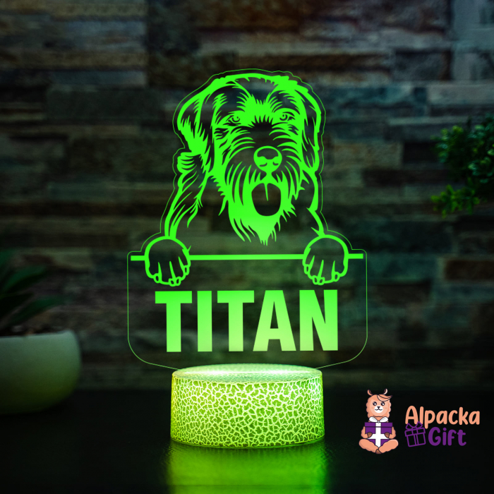 Lampă 3D - Wirehaired Pointing Griffon [4]